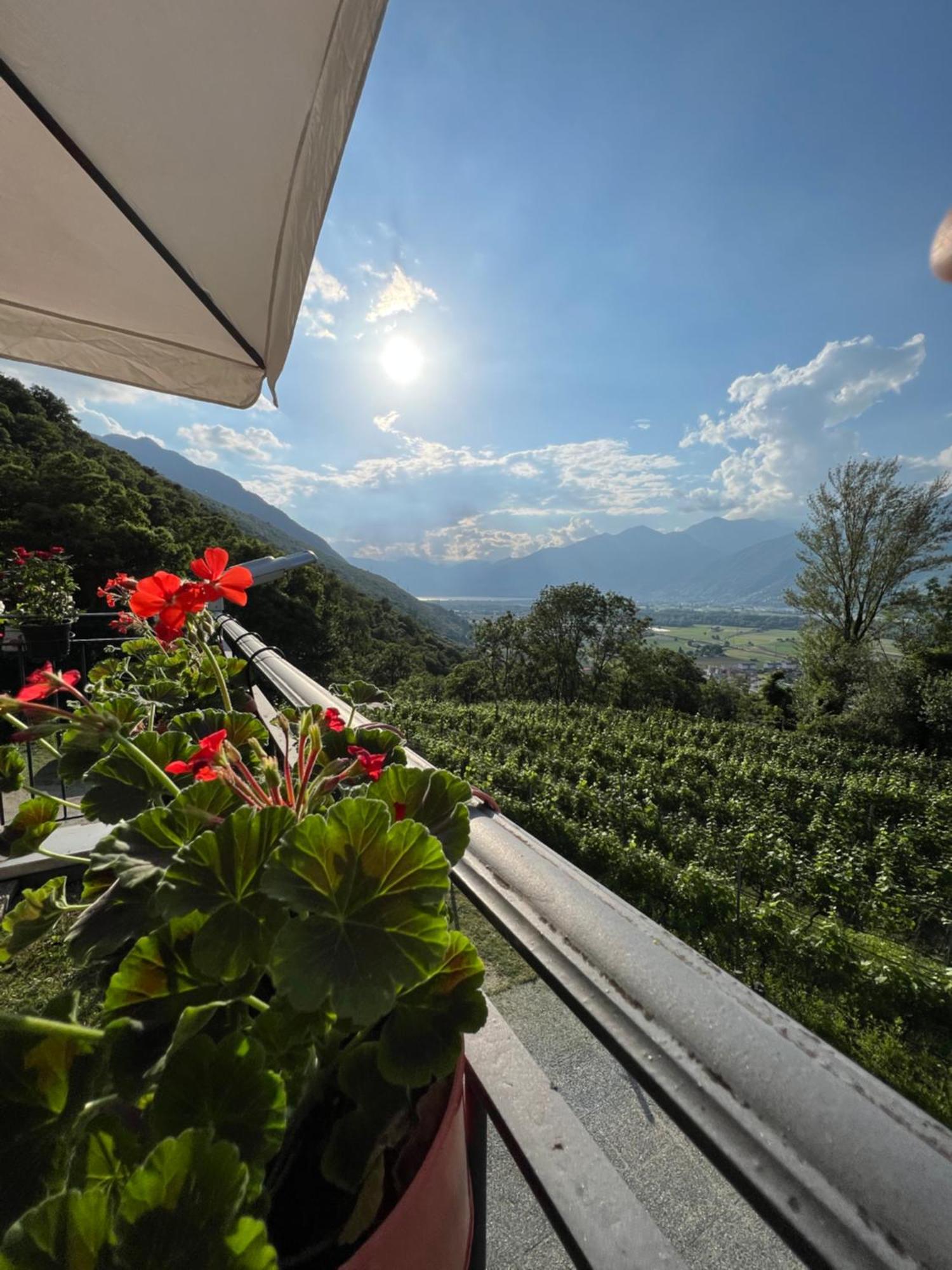 Bed and Breakfast Viva Bacco Gambarogno Exterior foto