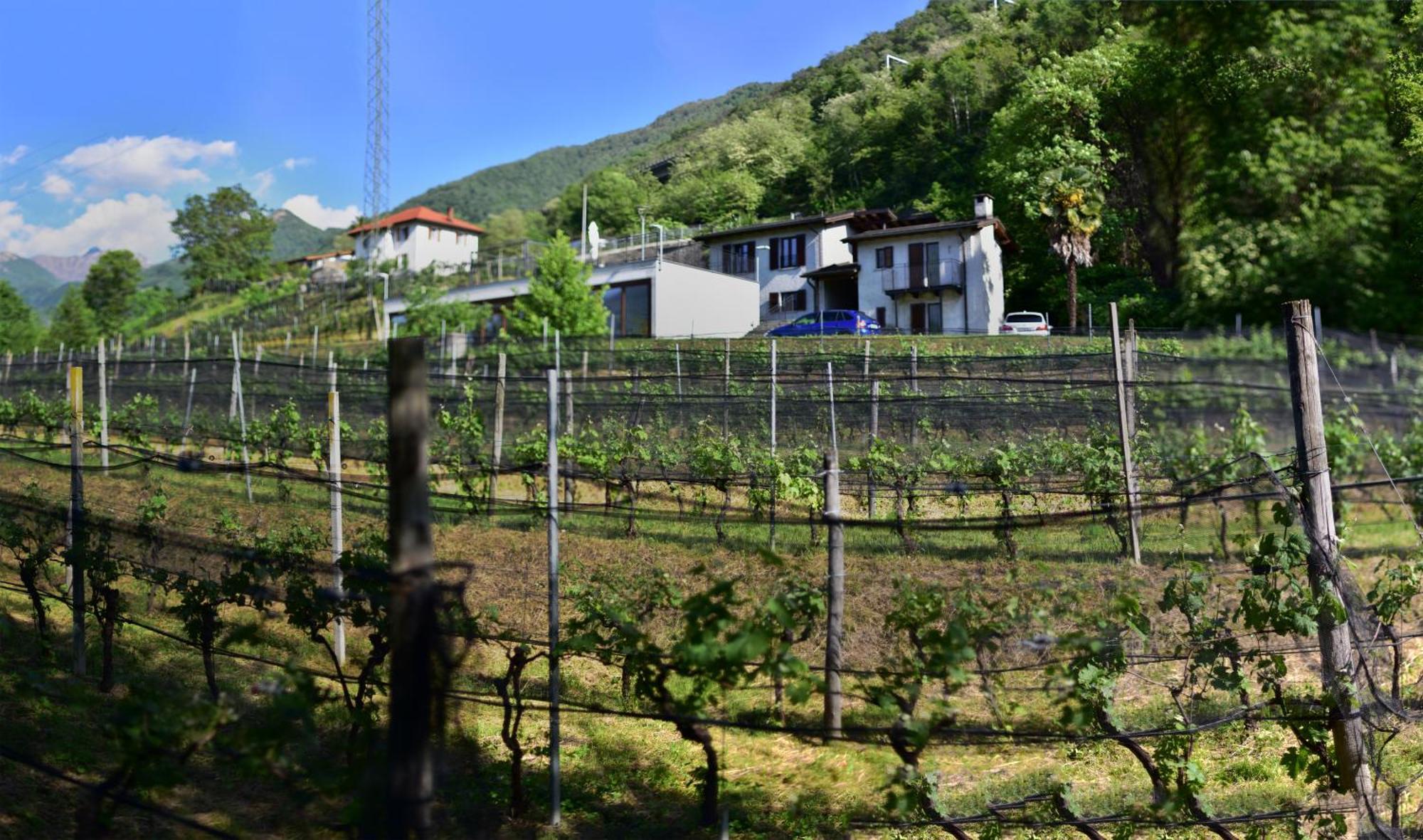 Bed and Breakfast Viva Bacco Gambarogno Exterior foto