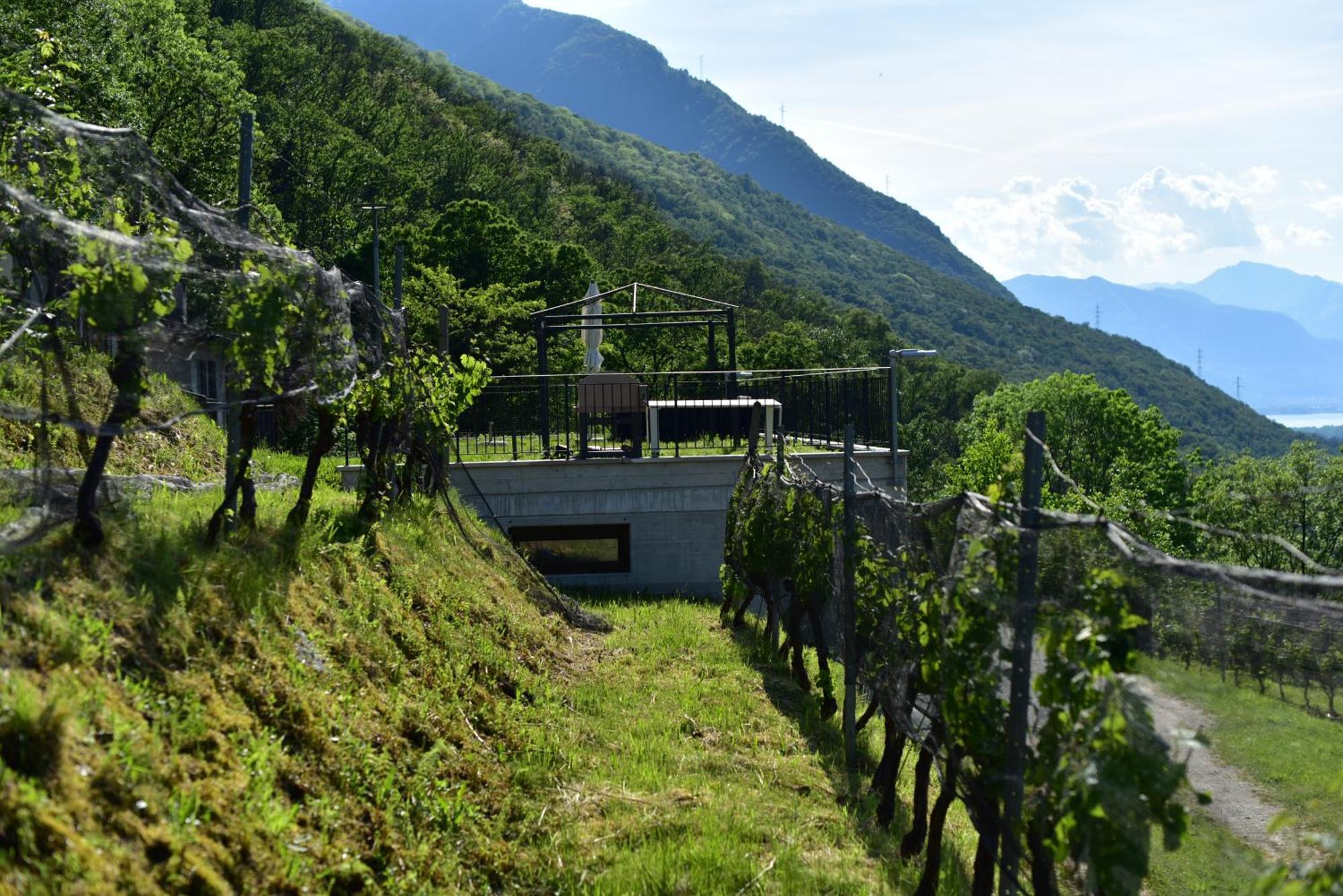 Bed and Breakfast Viva Bacco Gambarogno Exterior foto