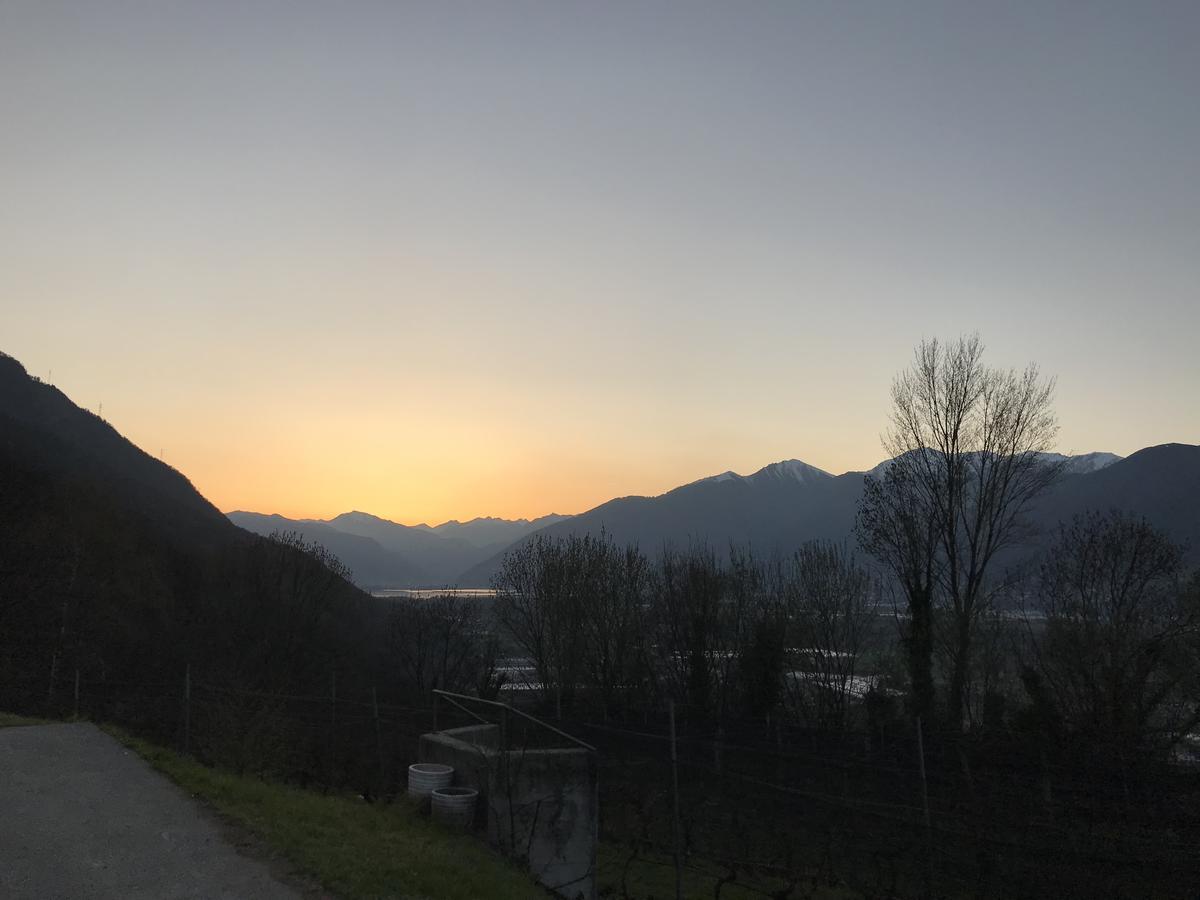 Bed and Breakfast Viva Bacco Gambarogno Exterior foto